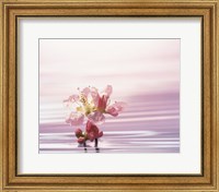 Flower with Water Background Fine Art Print