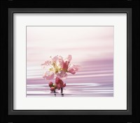 Flower with Water Background Fine Art Print