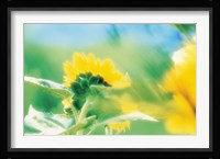Soft focus of yellow flower, blurred motion Fine Art Print