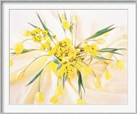 Arranged yellow flowers Fine Art Print