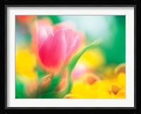 Flowers Fine Art Print
