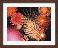 Fireworks display Fine Art Print