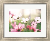 Pink flowers in meadow Fine Art Print