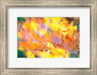 Fallen Leaves on Ground with Backlit, Autumn Fine Art Print