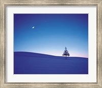 Moon in Sky and Single Tree Fine Art Print