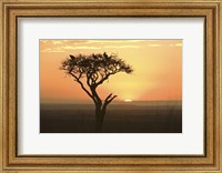 Sunrise over a landscape, Kenya Fine Art Print