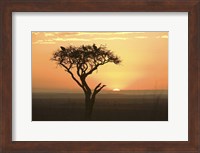 Sunrise over a landscape, Kenya Fine Art Print