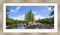 Trees and rocks, Moose River, New York State Fine Art Print