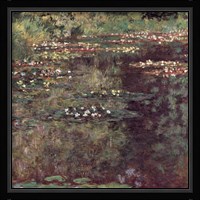 Etang aux Nympheas Fine Art Print