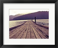 Chinook Fine Art Print