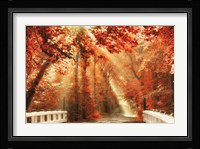 Red for Rest Fine Art Print