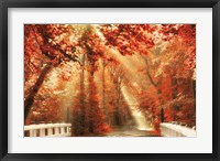 Red for Rest Fine Art Print