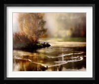Morning Solace Fine Art Print