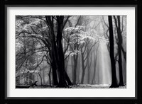 Winter is Coming Fine Art Print