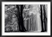 Winter is Coming Fine Art Print