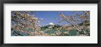 Cherry blossom with memorial in the background, Jefferson Memorial, Tidal Basin, Washington DC, USA Fine Art Print
