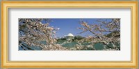 Cherry blossom with memorial in the background, Jefferson Memorial, Tidal Basin, Washington DC, USA Fine Art Print