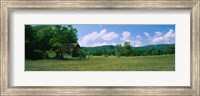 Barn in a field, Cades Cove, Great Smoky Mountains National Park, Tennessee, USA Fine Art Print