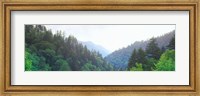 Trees with a mountain range in the background, Great Smoky Mountains National Park, Tennessee, USA Fine Art Print