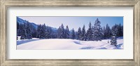 Snowy Field & Trees Oberjoch Germany Fine Art Print