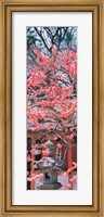 Kitano-Tenmangu Kyoto Japan Fine Art Print