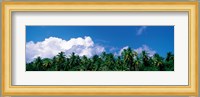 Maldives with Clouds Fine Art Print