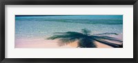 Palm Tree Shadow Over the Maldives Fine Art Print