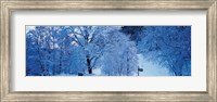 Snow Covered Trees, Ramsau Germany Fine Art Print