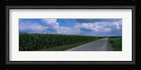 Road along corn fields, Christian County, Illinois, USA Fine Art Print