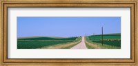 Road along fields, Minnesota, USA Fine Art Print