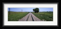 Telephone poles along a railroad track, Custer County, Nebraska Fine Art Print