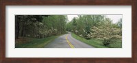 Road passing through a landscape, Blue Ridge Parkway, Virginia, USA Fine Art Print