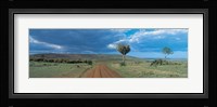 Masai Mara Game Reserve Kenya Fine Art Print