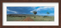Masai Mara Game Reserve Kenya Fine Art Print