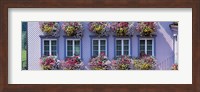 Purple House with Flowers, Appenzell Switzerland Fine Art Print