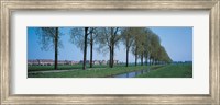 Aalsmeer Holland Netherlands Fine Art Print