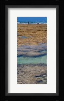 Indian Ocean, Fringe Reef, Mombasa Marine National Park and Reserve, Kenya Fine Art Print