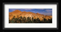 Palm trees in front of mountains, Chebika, Tunisia Fine Art Print