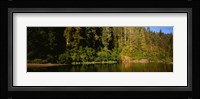 Reflection of trees in a river, Smith River, Jedediah Smith Redwoods State Park, California, USA Fine Art Print