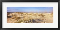 Sand dunes on the beach, Anastasia State Recreation Area, St. Augustine, St. Johns County, Florida, USA Fine Art Print