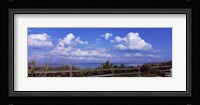 Fence on the beach, Tampa Bay, Gulf Of Mexico, Anna Maria Island, Manatee County, Florida, USA Fine Art Print