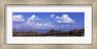 Fence on the beach, Tampa Bay, Gulf Of Mexico, Anna Maria Island, Manatee County, Florida, USA Fine Art Print