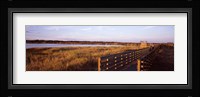 Boardwalk in a state park, Myakka River State Park, Sarasota, Sarasota County, Florida, USA Fine Art Print