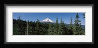 Trees in a forest with mountain in the background, Mt Hood National Forest, Hood River County, Oregon, USA Fine Art Print