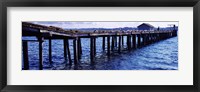 Seagulls on a pier, Whidbey Island, Island County, Washington State, USA Fine Art Print