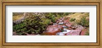Low angle view of a creek, Baring Creek, US Glacier National Park, Montana, USA Fine Art Print