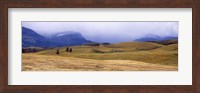 Rolling landscape with mountains in the background, East Glacier Park, Glacier County, Montana, USA Fine Art Print