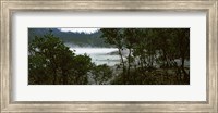 Volcanic lake in a forest, Kawah Putih, West Java, Indonesia Fine Art Print