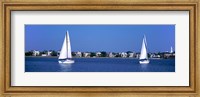 Sailboats in the Atlantic ocean with mansions in the background, Intracoastal Waterway, Charleston, South Carolina, USA Fine Art Print