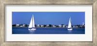Sailboats in the Atlantic ocean with mansions in the background, Intracoastal Waterway, Charleston, South Carolina, USA Fine Art Print
